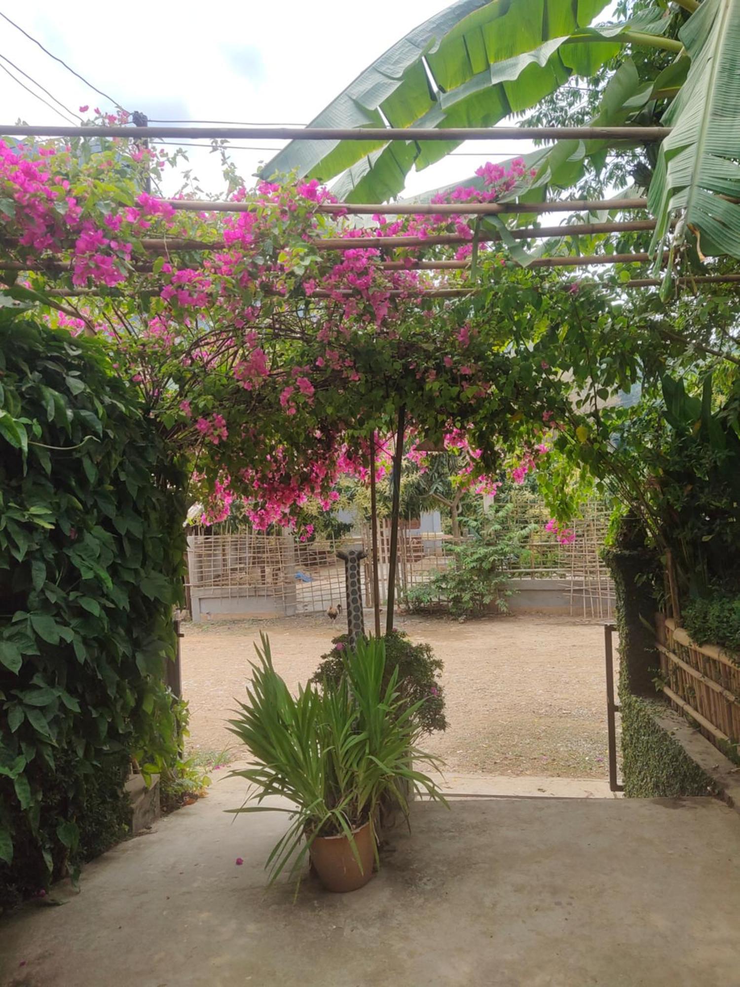 Nongkhiaw Meexok Guesthouse מראה חיצוני תמונה